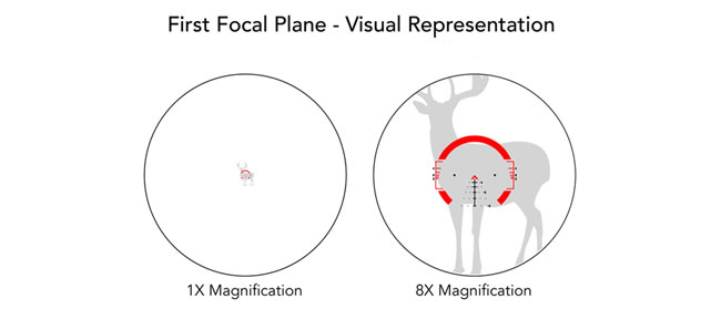 premier plan focal - représentation visuelle