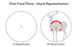 premier plan focal - représentation visuelle